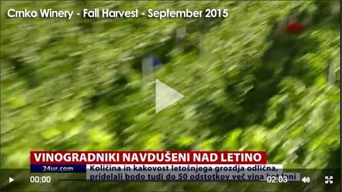 video-holder-crnko-harvest-sept-2015